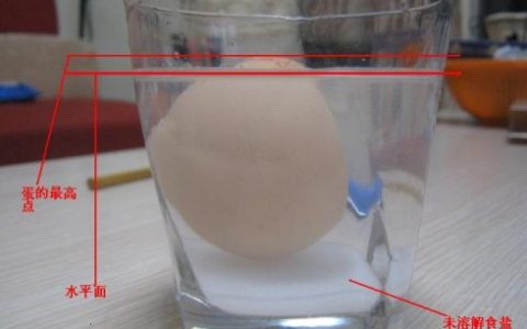 盐水浮鸡蛋的步骤怎么做 原理解析如下