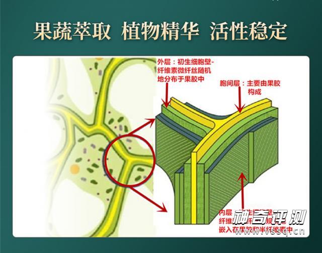 常青通超微化果蔬膳食纤维中国发明专利