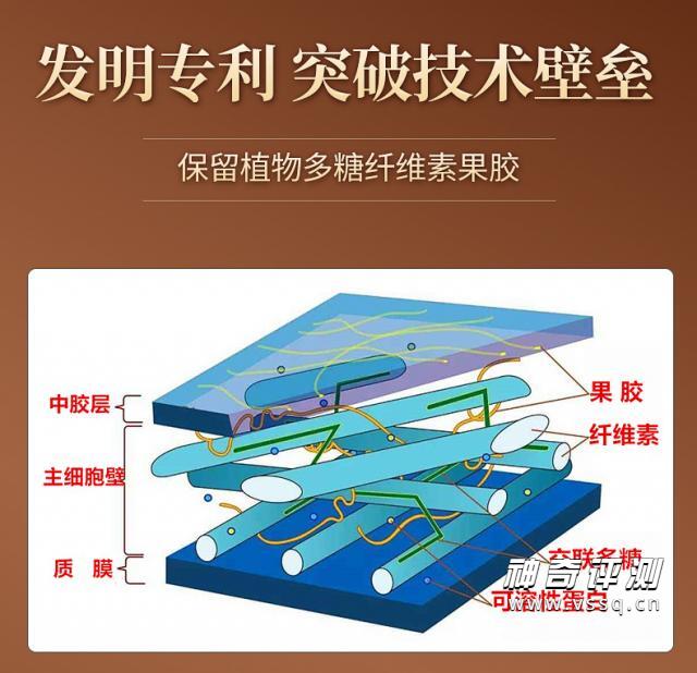 常青通超微化果蔬膳食纤维中国发明专利