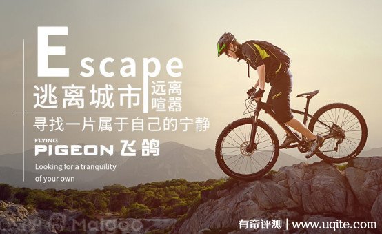 自行车品牌排行榜  世界十大顶级自行车品牌排行