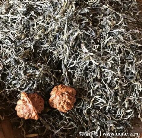 老树生普洱茶的价格 2022最低为800元一斤