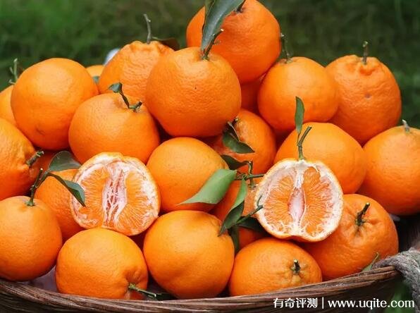 耙耙柑怎么念耙（pá pá gān）