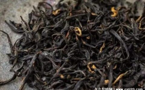 正山小种是红茶还是绿茶 多少钱一斤