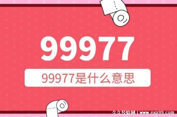 抖音网络用语99977是什么意思