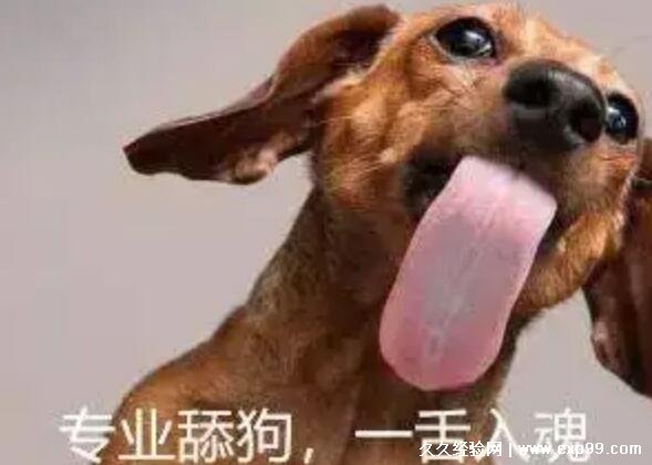 卑微舔狗的爱情伤感句子