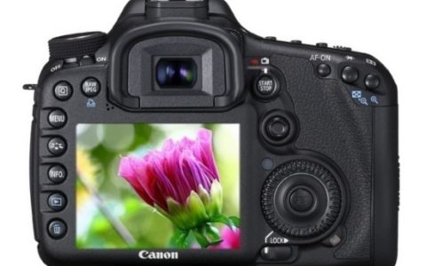 摄影初学者买什么相机合适 初学者性价比高的相机排行