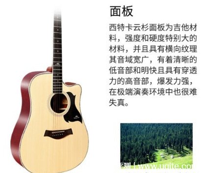 吉他价格一般在多少钱左右 500元到2000元