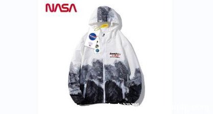 nasa是什么意思啊