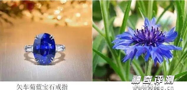 彩色蓝宝石什么颜色最好 矢车菊/帕帕拉恰