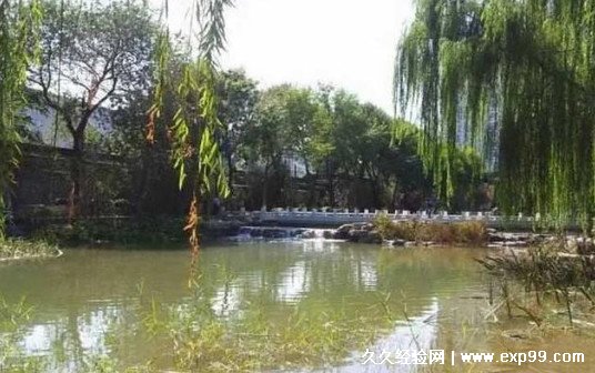 51吃瓜网网友科普：老舍为什么投湖背后的故事与思考