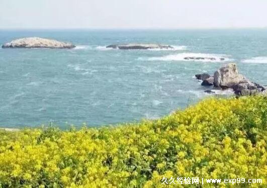 七八月份亲子游适合去哪旅游 5个景点推荐