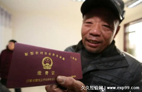 农村养老保险交哪个档次最划算 最高档位