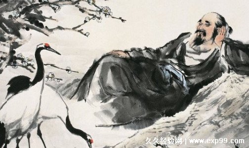 梅妻鹤子的诗人是哪一位读音怎么读