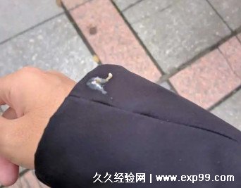 鸟屎掉身上有什么预兆怎么破解 是福兆