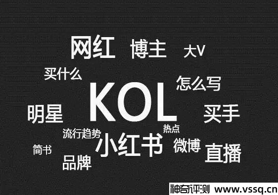 kol网络用语啥意思 指关键意见领袖