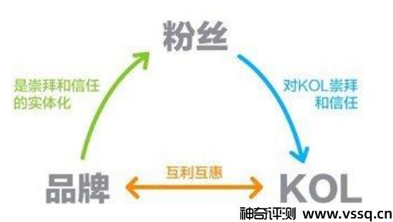 kol网络用语啥意思 指关键意见领袖