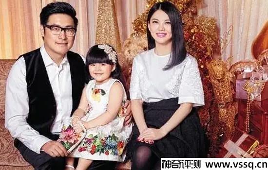 王岳伦身价是多少个亿 网传将近85亿