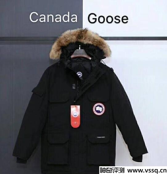 加拿大鹅什么牌子是鹅绒还是鸭绒 加拿大服饰品牌