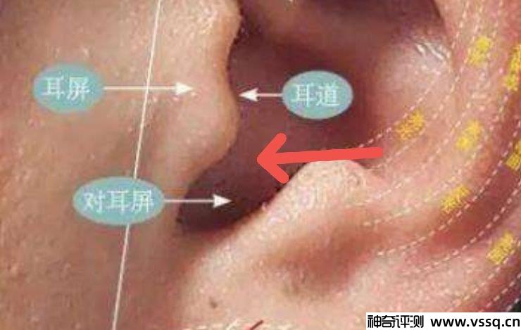 耳机左右怎么分r l怎么戴 吃鸡可不兴戴反