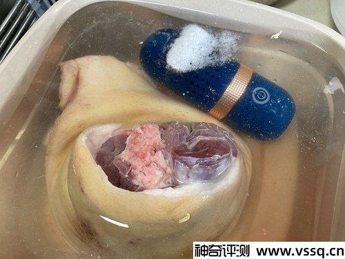 东菱胶囊果蔬清洗机怎么样有用吗 杀菌除农残净化器