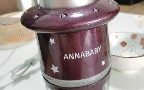 Annababy辅食机值得入手不 多功能小型料理机