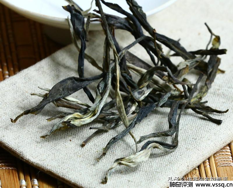 十大最古老的普洱茶树排名 云南普洱茶十大名牌