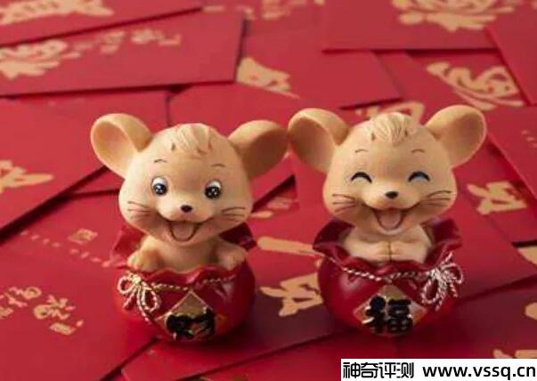 今年最小的老鼠只有2岁！属鼠人2022年运势大评测