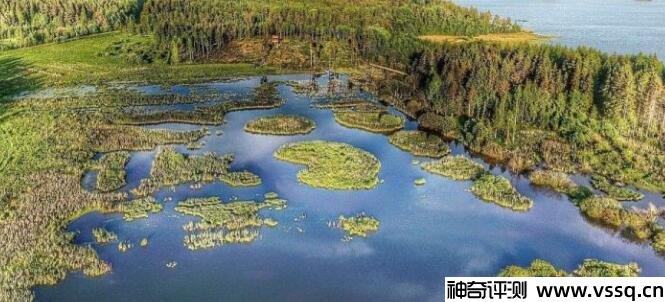 千湖国是哪个国家的代称，芬兰(共有187888个湖泊)