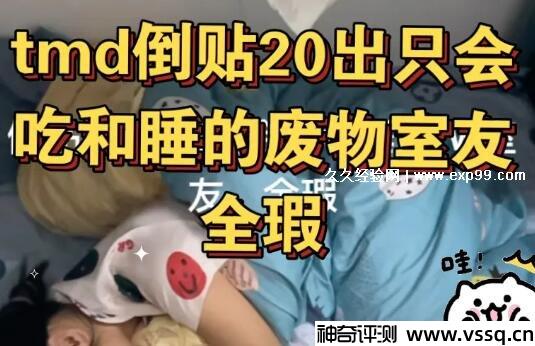 “全瑕微瑕”是什么意思？完全缺陷和轻微缺陷的意思