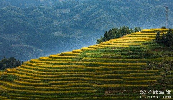 湖南旅游必去十大景点推荐 衡山排名第四(是国家5A级景区)