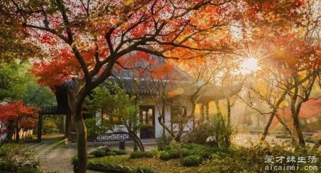苏州旅游必去的十大景点，你去过几个？