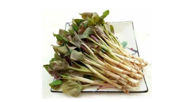 十大野菜排名，营养价值高，可以预防很多疾病