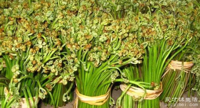 十大野菜排名，营养价值高，可以预防很多疾病