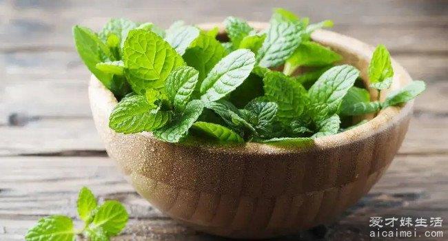 十大野菜排名，营养价值高，可以预防很多疾病