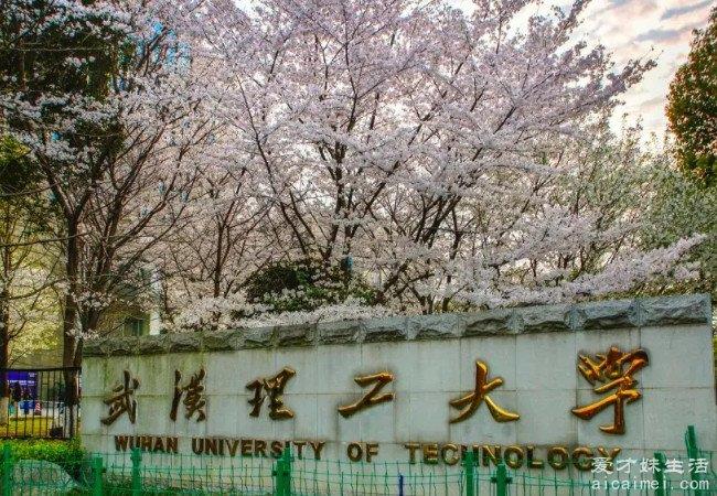 非985公认最强211，这些专业的教学实力不输985