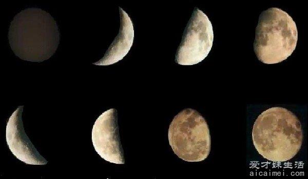 月相变化图，8种形状的变化(满月最亮)