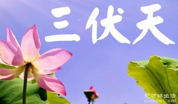 三伏天从什么时候开始至结束，7月16日到8月24日(共40天)