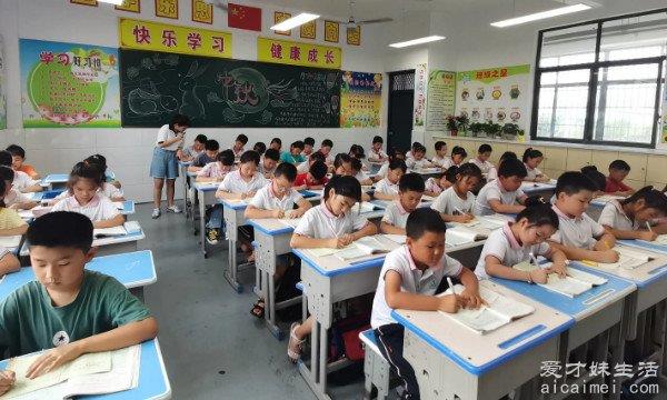 为什么不建议孩子上私立学校？