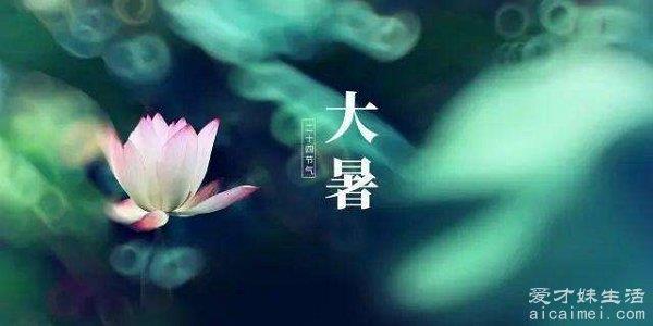 夏季最后一个节气叫什么 是大暑（下一个是立秋）