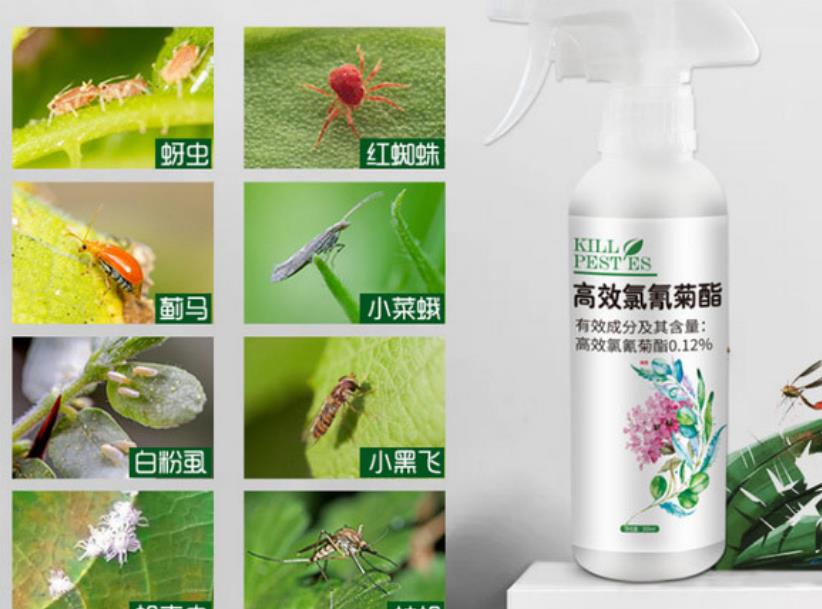 室内杀虫剂十大品牌排行榜2023