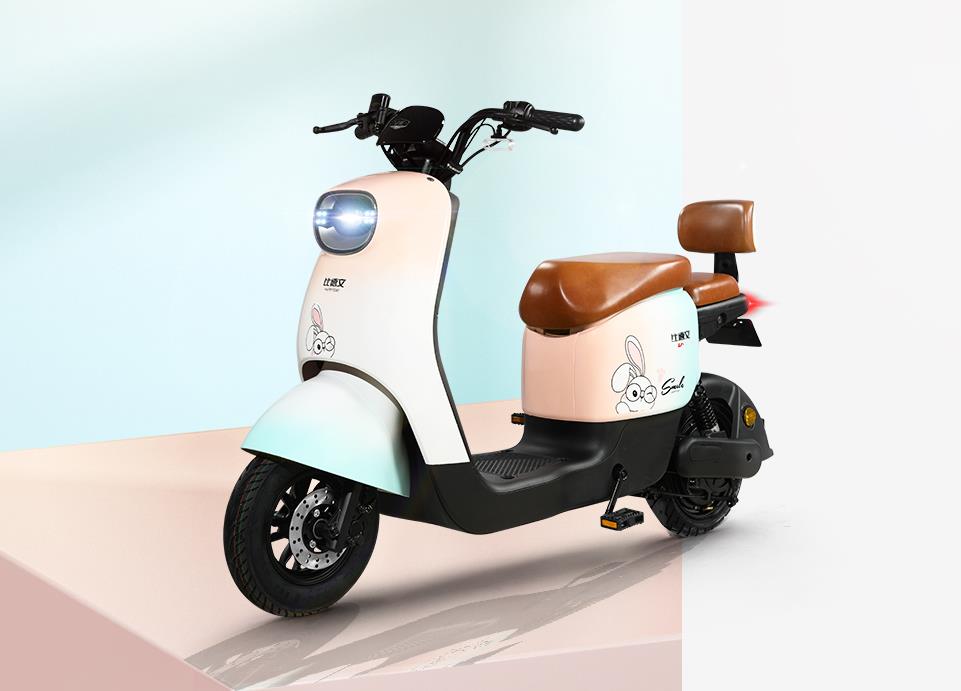 2022年电动车“十大品牌”榜单出炉，有你买的车吗?