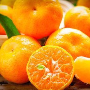 治疗痔疮的十种水果，苹果、橘子、香蕉、杏、桃等