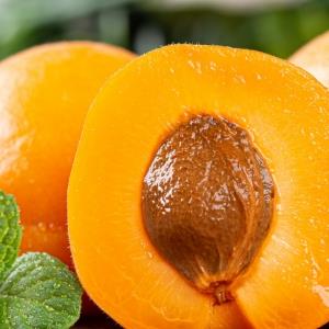 治疗痔疮的十种水果，苹果、橘子、香蕉、杏、桃等