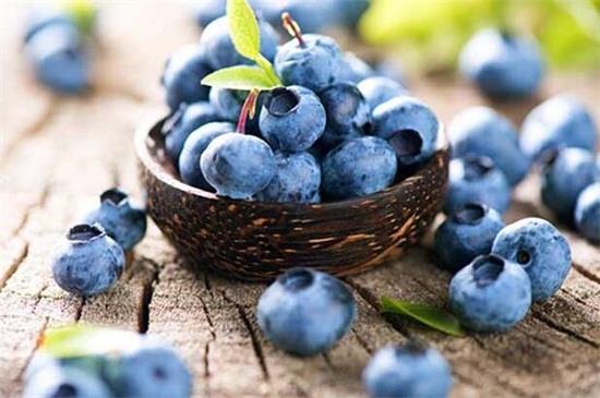 常见的几十种紫色水果 盘点八种营养高的水果