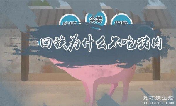 回族为什么不吃猪肉 两大原因(宗教信仰/猪不干净)