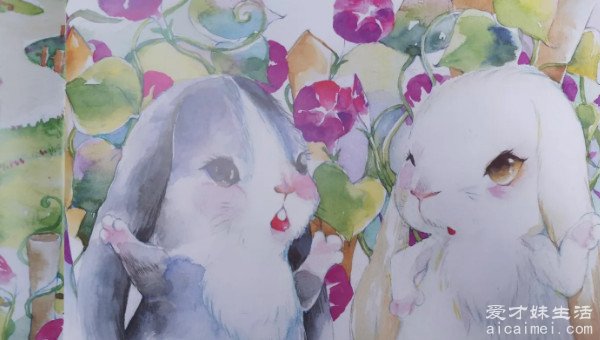 给女朋友讲又甜又撩的小故事 兔小灰和兔小白(又甜又撩)