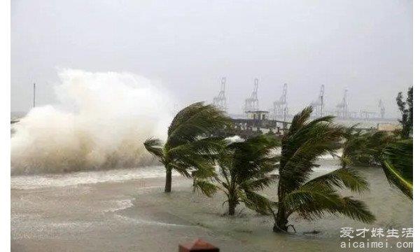 世界上第一恐怖台风 是1979年的泰培(造成十万人受灾)