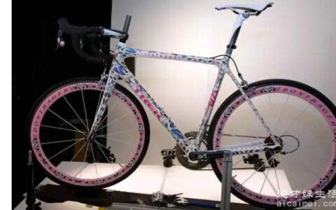 崔克蝴蝶自行车价格多少钱一辆 3200万元/辆(有蝴蝶标记)