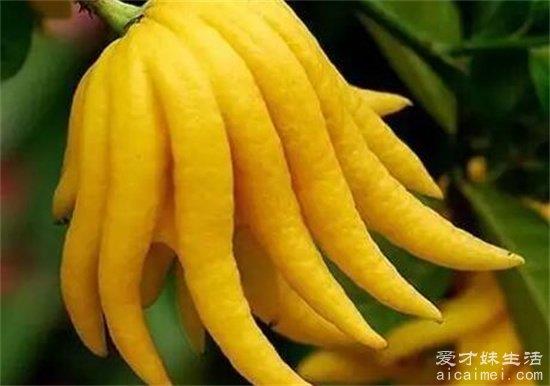中国罕见的十大诡异水果，长相诡异成为十大怪果