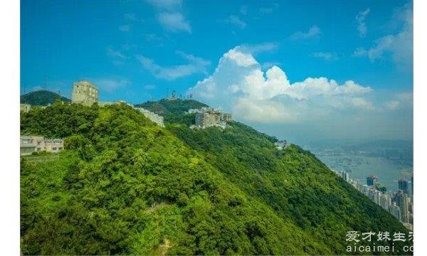 香港十个必须要去的景点 金紫荆广场代表着香港回归祖国